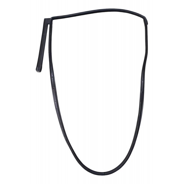 Borracha Porta Traseira Onix Direito 1.0 Aspirado 2024 2025