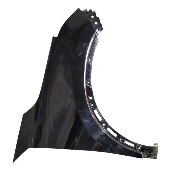 Paralama Chery Tiggo 5x Dianteiro Direito 2024 2025