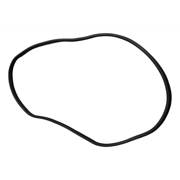 Borracha Porta Traseira Rampage Esquerdo 2024 2025