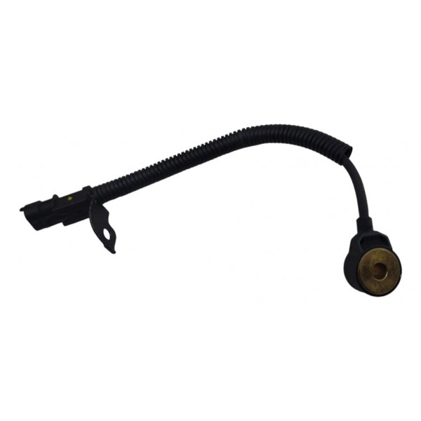 Sensor Detonação Hyundai Hb20 2012 2019 Original