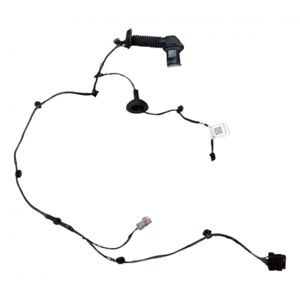Chicote Porta Tras Esquerda Byd Dolphin Mini 2025